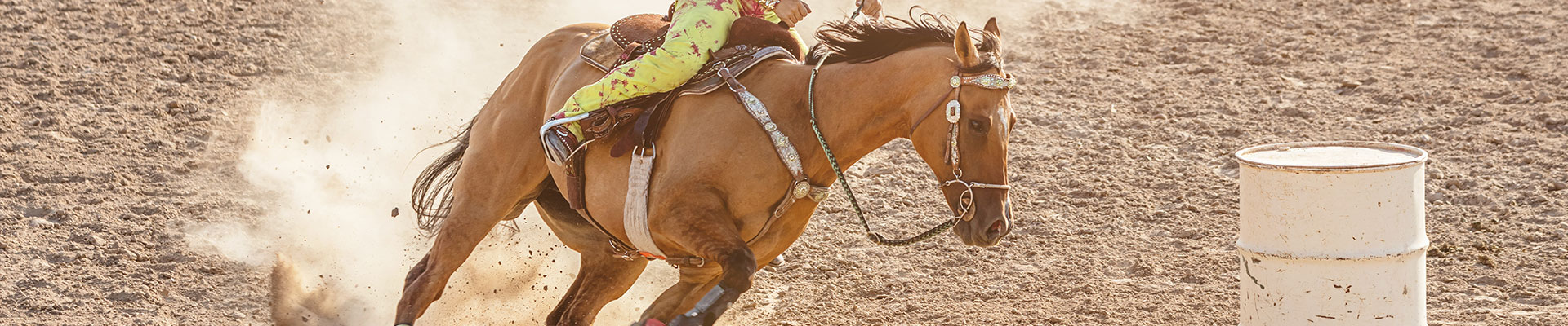 Fantasy RV Tours: 7 Day Calgary Stampede Rally (07CCSW-070126)