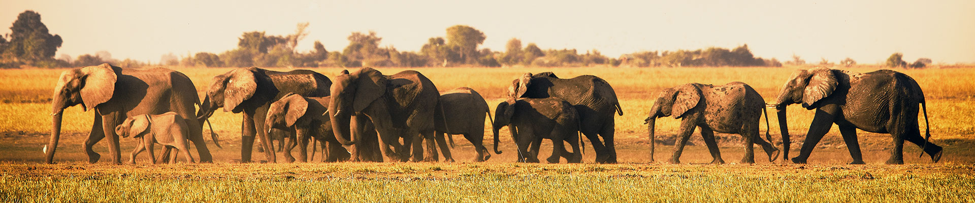 Fantasy RV Tours: 33 Day South Africa RV Safari (33OSAP-032425)