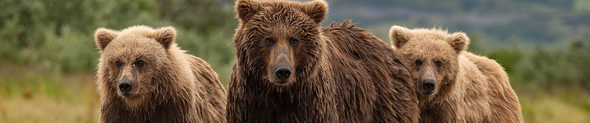Fantasy RV Tours: 63 Day Great Alaska Escape (63AAEP-072025)